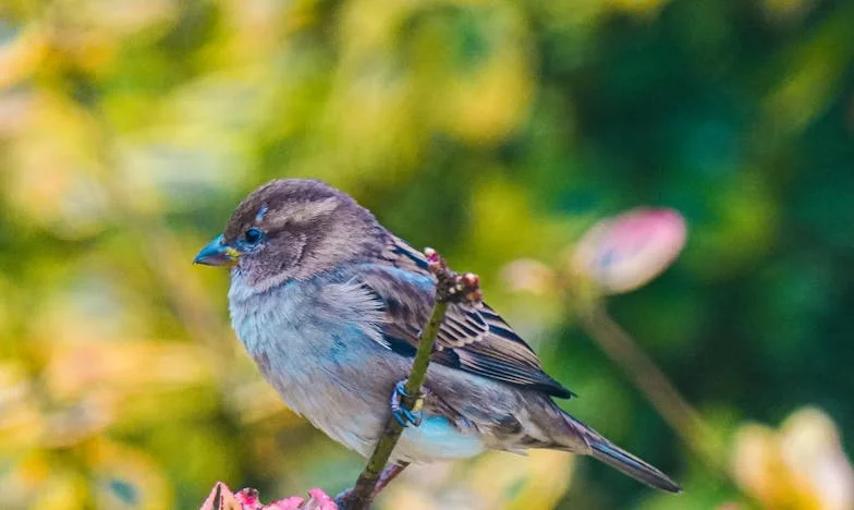 Inima unei mame: Când dragostea învinge frica