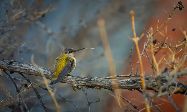 „Nu ai copii, nu poți înțelege!” – Cum mi-a distrus cumnata ziua de naștere doar ca să nu-mi dea banii înapoi