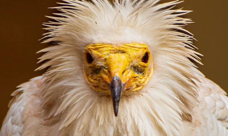 „Nu vrem să-l vedem pe nepotul nostru în weekendul acesta” – Povestea unui tată prins între loialitate și dragoste