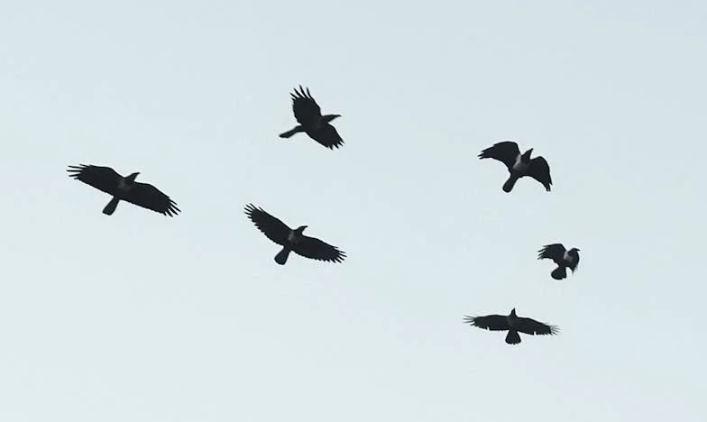 O noapte la secție: Cum mi-a schimbat viața pentru totdeauna grija de mamă