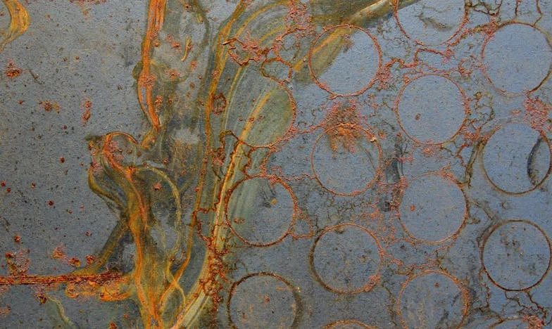 Portofelul pierdut și chipul din trecut