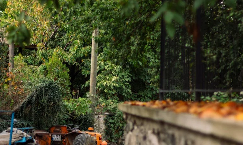 Prima cină cu soacra – O seară care mi-a spulberat visele