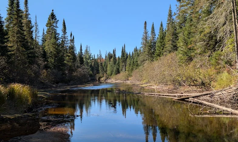 Sâmbătă la Mega: Când viața se răstoarnă într-o clipă