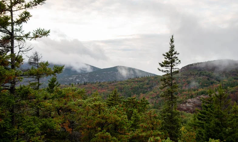 Testamentul care mi-a sfâșiat viața: Când dragostea ascunde secrete