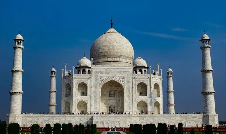 Umbra tăcerii: Povestea unei bunici care a aflat prea târziu