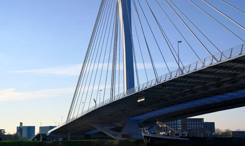 Umbra trecutului: Povestea unei fiice invizibile