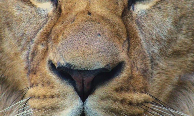 Umbrele din casa noastră: Povestea unei mame și a secretelor care ne-au despărțit