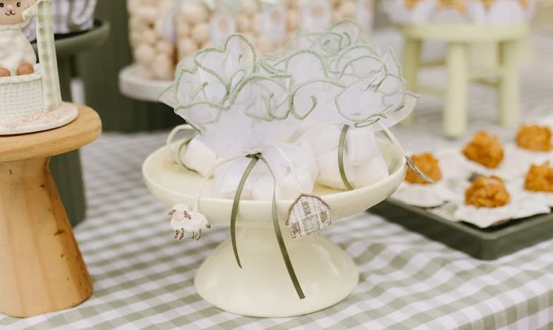 Umbrele Trecutului: O Mamă în Căutarea Fiului Pierdut