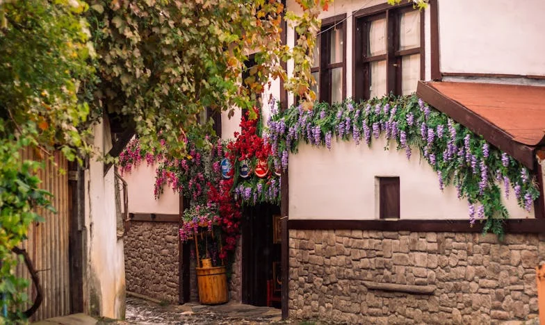 Weekendul care nu mi-a aparținut niciodată: O poveste despre limite, familie și pierderea controlului