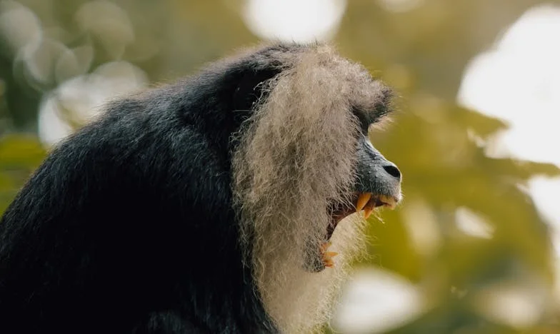 Ziua în care am fugit de la altar: Povestea unei alegeri imposibile