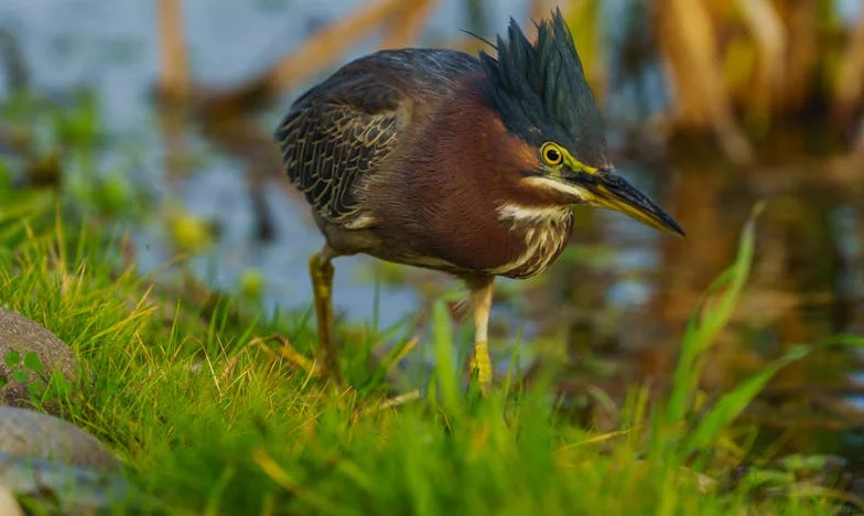 Ziua în care totul s-a schimbat: O mamă la răscruce