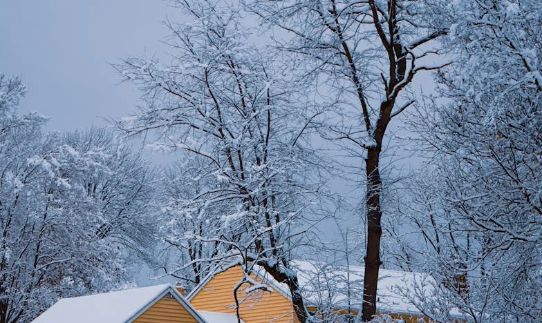 Adevărul nerostit: Povestea mea după divorțul de Marek