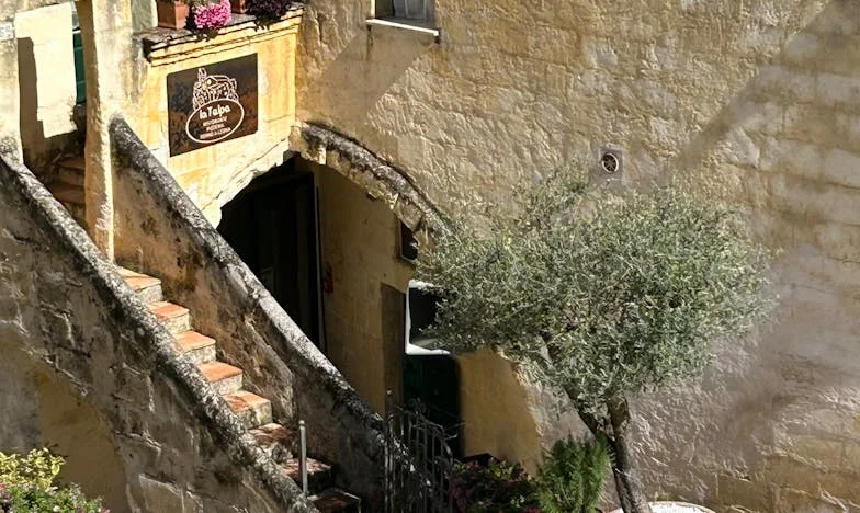 Alungată din propria viață: „Nu ești mamă, ești un blestem” – Lupta mea pentru fiul meu și căderea care m-a schimbat pentru totdeauna