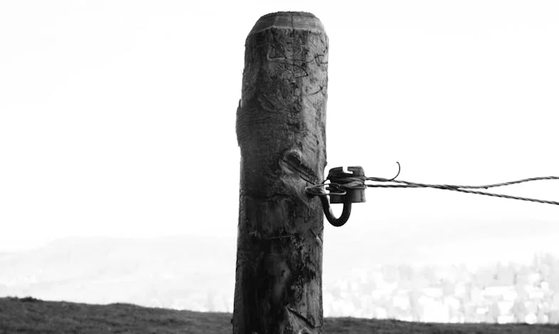 Am găsit o scrisoare într-o rochie din second-hand – și viața mea s-a destrămat, ca să se poată reclădi