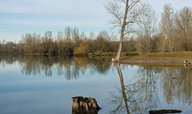 „Băiatul meu nu va fi slugă în casa asta!” – Povestea unei familii sfâșiate între așteptări și visuri