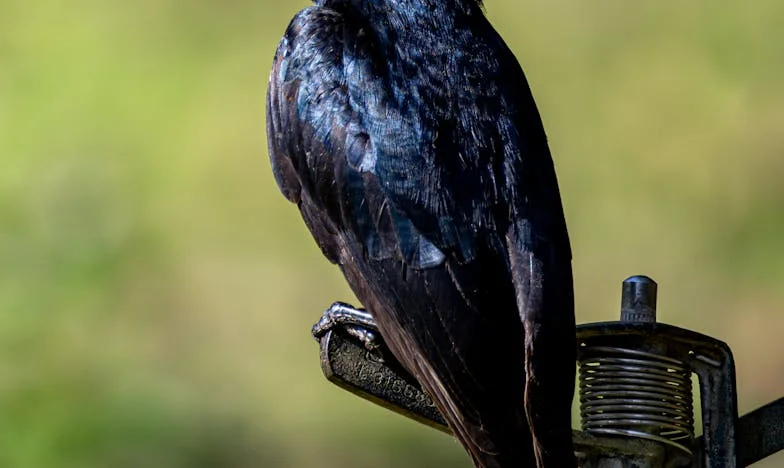 Când lumea mea s-a prăbușit: Povestea unei acuzații nedrepte