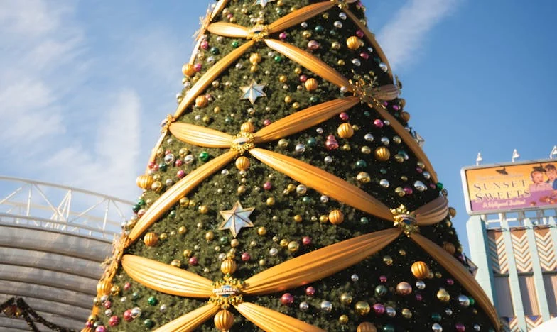 Când tata își pierde fiul: Poveste despre mândrie, iubire și iertare