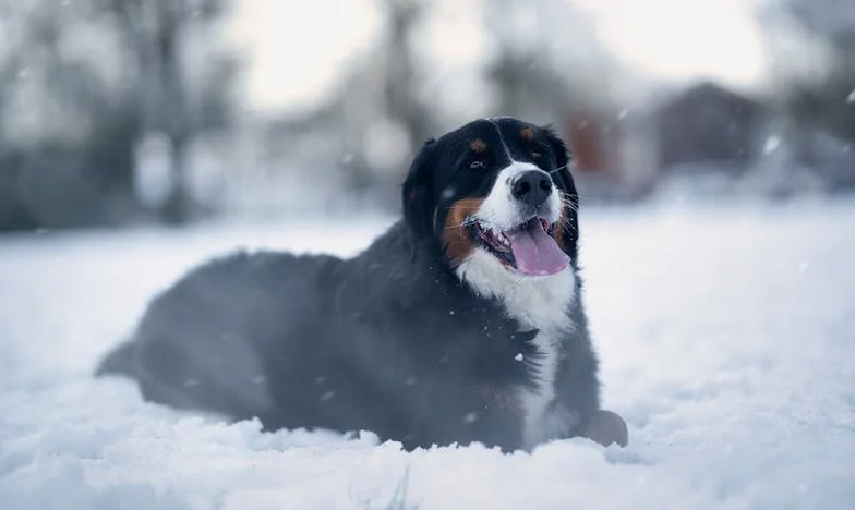 „Ceva e profund greșit” – O aniversare de familie care mi-a schimbat viața pentru totdeauna