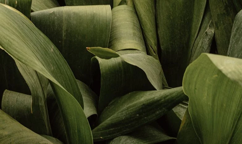 Crăciunul în care am pierdut totul și am învățat să mă regăsesc