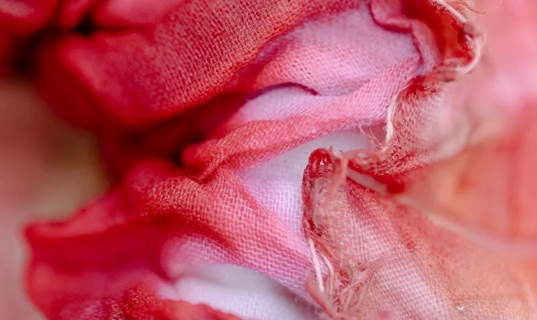 Curățenia din sufletul meu: povestea unei femei care a schimbat totul într-o săptămână