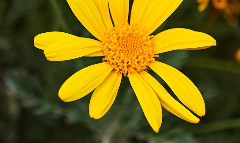 Duminica care a sfâșiat familia mea: Oare adevărul chiar vindecă?