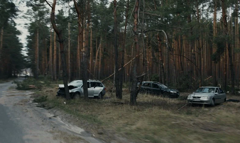 Între dragoste și lanțuri: Povestea unei vieți trăite în umbra mamei