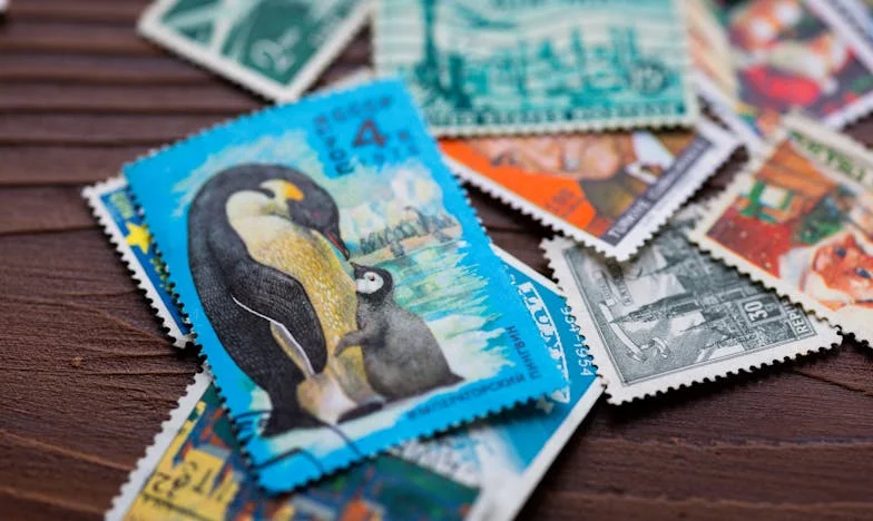 Lapte amar: Opt ani de alăptare și o familie destrămată