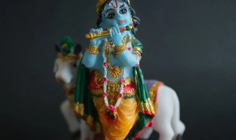 „Semnează, Irina” – povestea unei trădări, a luptei pentru casă și a salvării prin copil