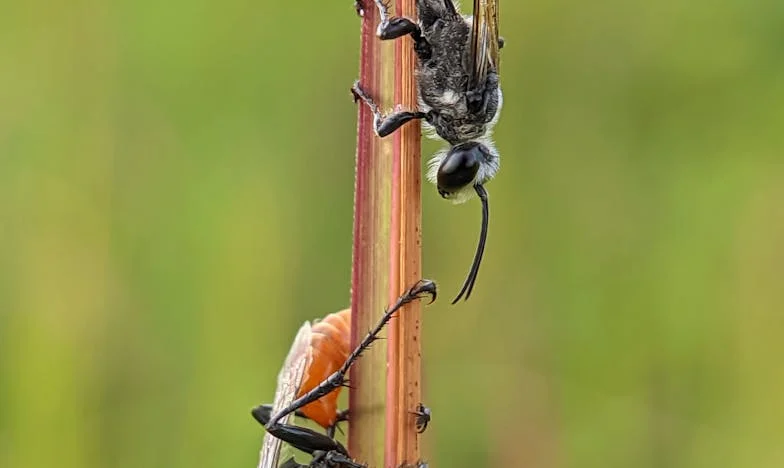 „Semnează tot pe numele meu!” – Povestea mea despre trădare, lupta pentru casă și demnitate