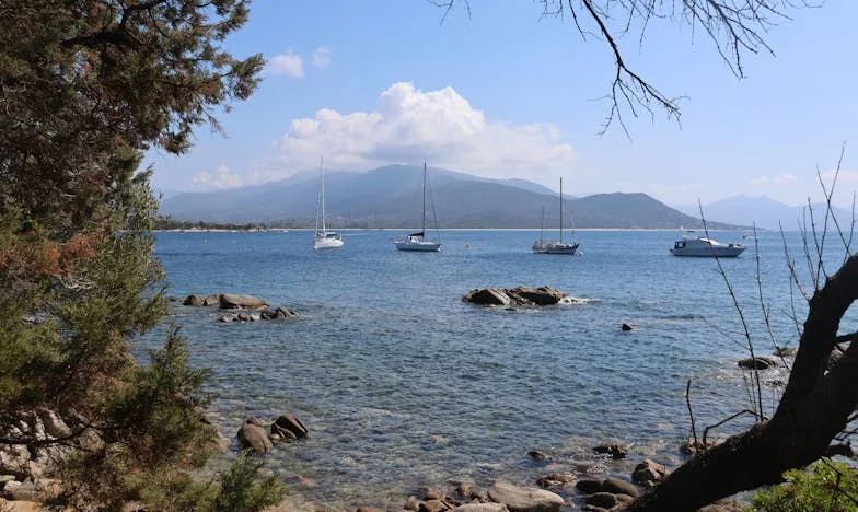 Sunt cu adevărat o soacră rea? Povestea mea despre dragoste, pierdere și neînțelegeri