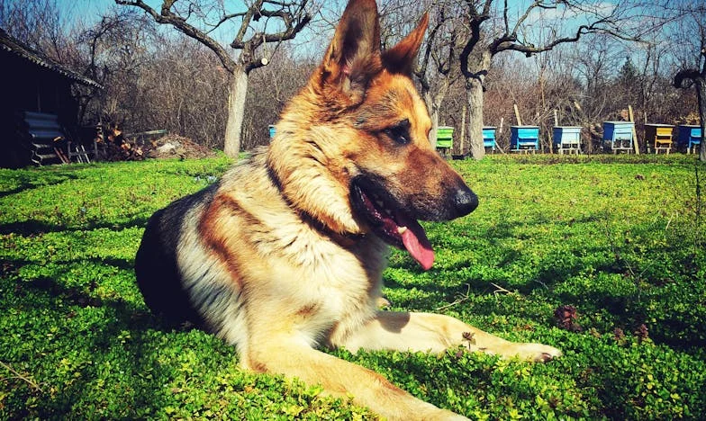 Ultima zi a lui Rareș: O poveste despre speranță, pierdere și iertare