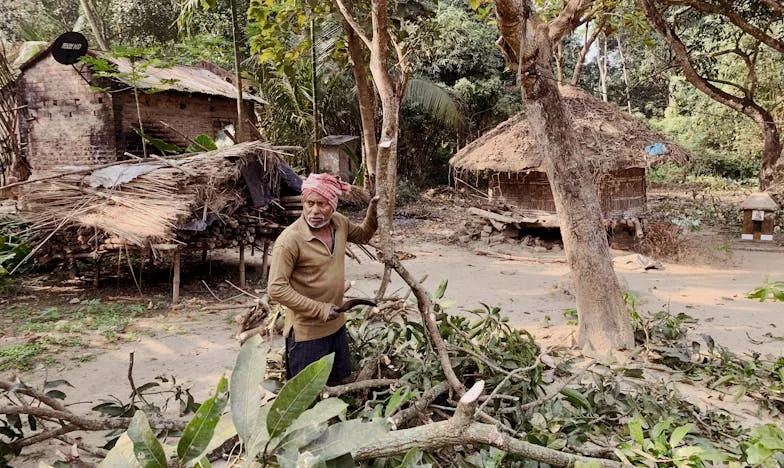 Umbra Tatălui: Povestea Mea Printre Sărăcie și Tăceri