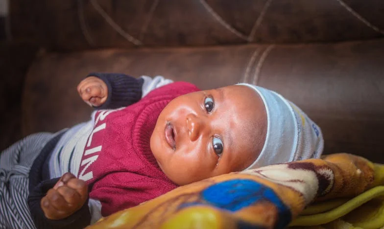 „Vor veni musafiri!” – O confruntare cu trecutul într-o casă de la țară