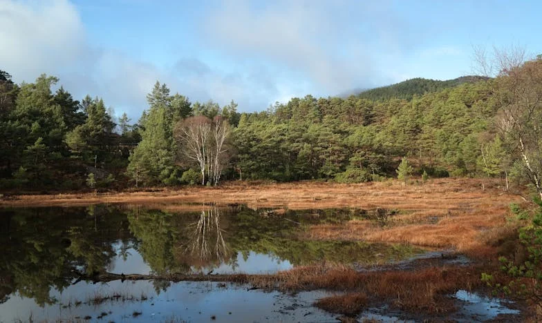 Weekendul soacrei: Sunt doar o menajeră în propria mea casă?