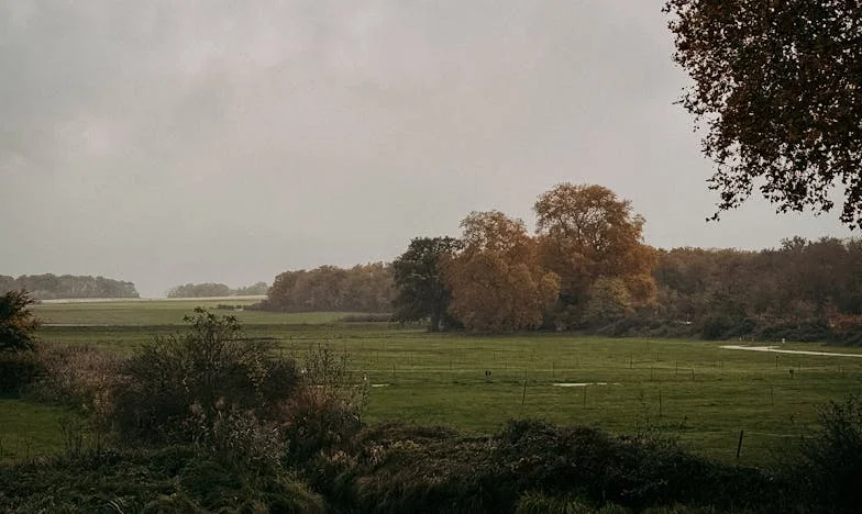 Ziua în care secretul meu a distrus totul: Povestea unei trădări în familie