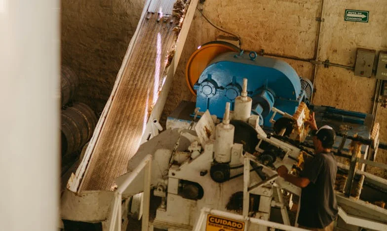 Adevărul care doare: Povestea lui George și lupta pentru adevăr