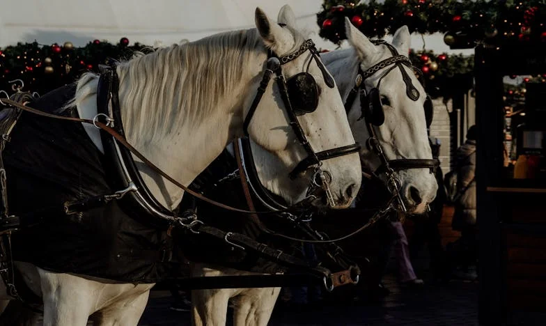 O inimă împărțită: Povestea Alexandrei, fata care a crescut în umbra fratelui său