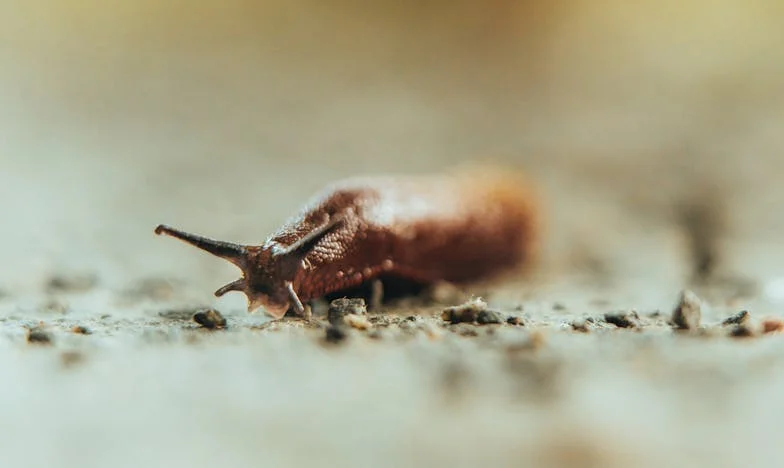 O scrisoare care mi-a schimbat viața – Prețul sacrificiului de mamă într-o familie românească