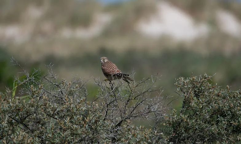 Victoria și alegerea care a zguduit familia: „Nu mai vreau să trăiesc doar pentru voi!”
