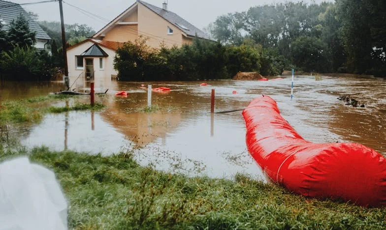 Apartamentul care mi-a sfâșiat familia – povestea unei alegeri imposibile