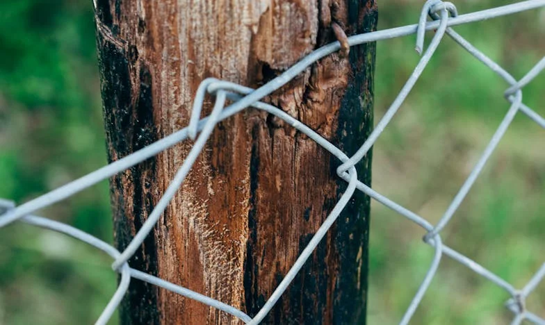 Când casa nu mai e acasă: Cum am ajuns să-mi dau afară soacra la prima noastră seară împreună
