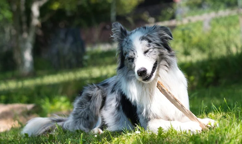 De ce nu vrea fiica mea să aibă grijă de mama ei? Povestea unei familii pe marginea prăpastiei