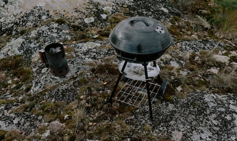 Întoarcerea în satul pe care l-am părăsit acum paisprezece ani: O întâlnire neașteptată