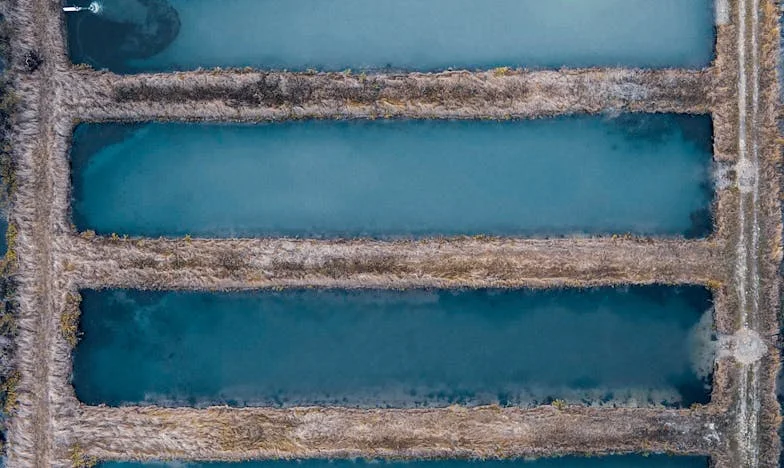 Între două lumi: Povestea mea dintr-un sat uitat de lume