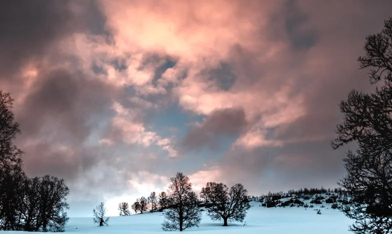 Nonna invizibilă: Prețul iubirii mele
