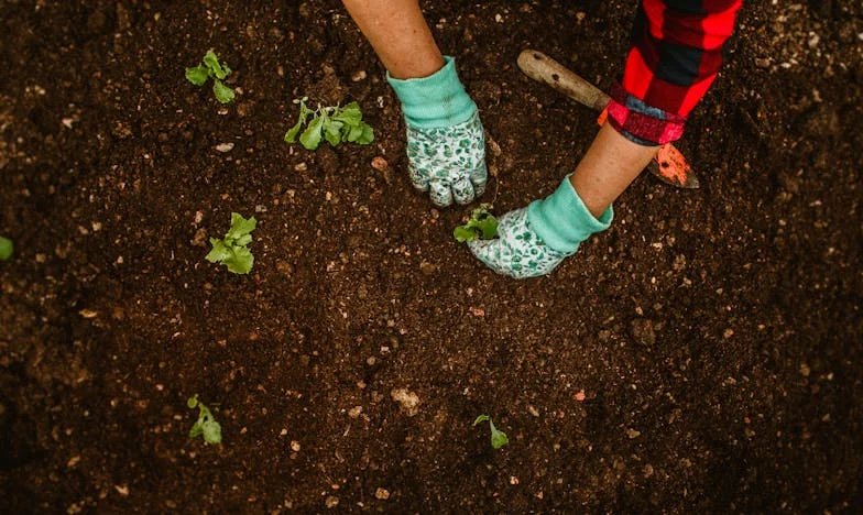 Nu te voi lăsa să te muți în apartamentul meu – Niciodată nu voi scăpa de tine! Povestea mea despre lupta pentru demnitate în fața soacrei mele, Anca