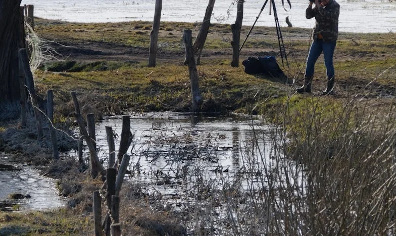 Nu trebuie să fii frumoasă, e suficient să fii de folos – povestea unei femei invizibile din România