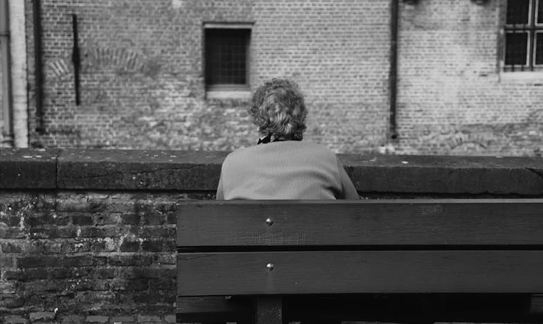 Umbrele Trecutului: Jurnalul Anei despre Maternitate și Criza Căsniciei