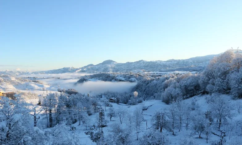 „Acesta nu mai e casa mea” – Povestea luptei mele pentru locul meu într-o familie care nu-mi mai aparține