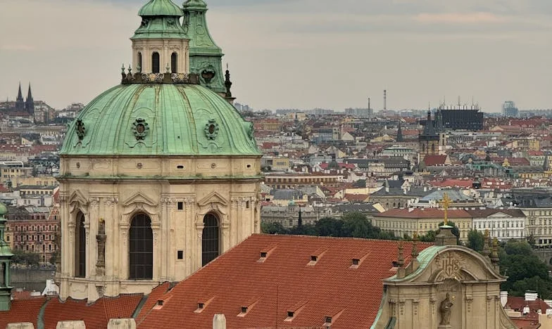 „Adu copiii, dar nu uita portofelul”: Un secret de familie în grădină